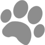 a grey dog foot print